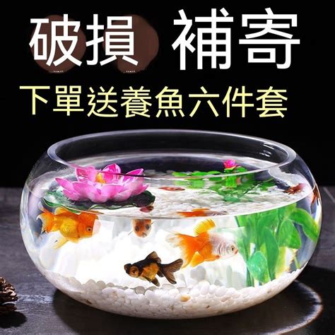 圓形缸 養魚